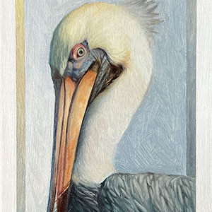 thumbnail of Heron