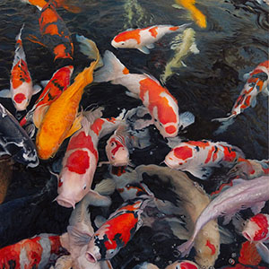 thumbnail of Koi #6