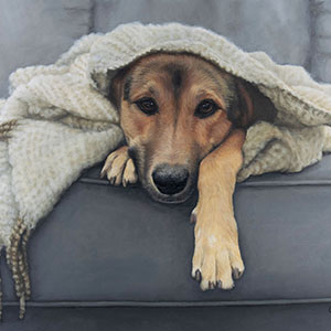 thumbnail of Me and My Blanket
