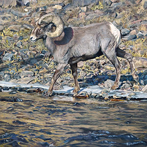 thumbnail of Crossing Over