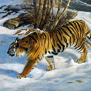 thumbnail of Tiger Prowl