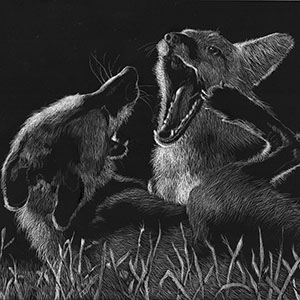 thumbnail of The Disagreement