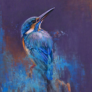 thumbnail of Splash of Color