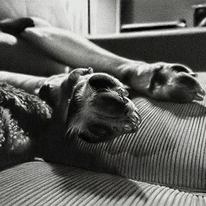 thumbnail of Slumber