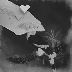 thumbnail of Eternal love